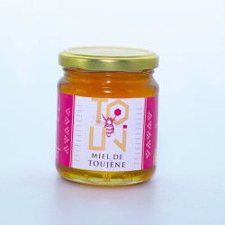 Miel d’eucalyptus naturel