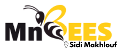 MnBees Médenine - Sidi Makhlouf